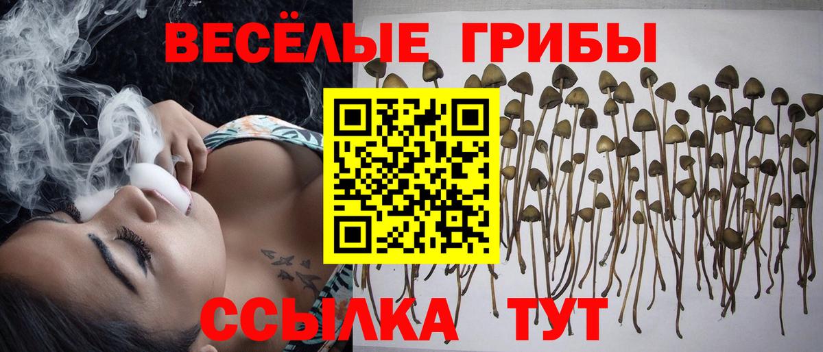 цена   Вход с VPN  Галлюциногенные грибы ЛСД  Видное  Псилоцибиновые грибы Magic Shrooms 