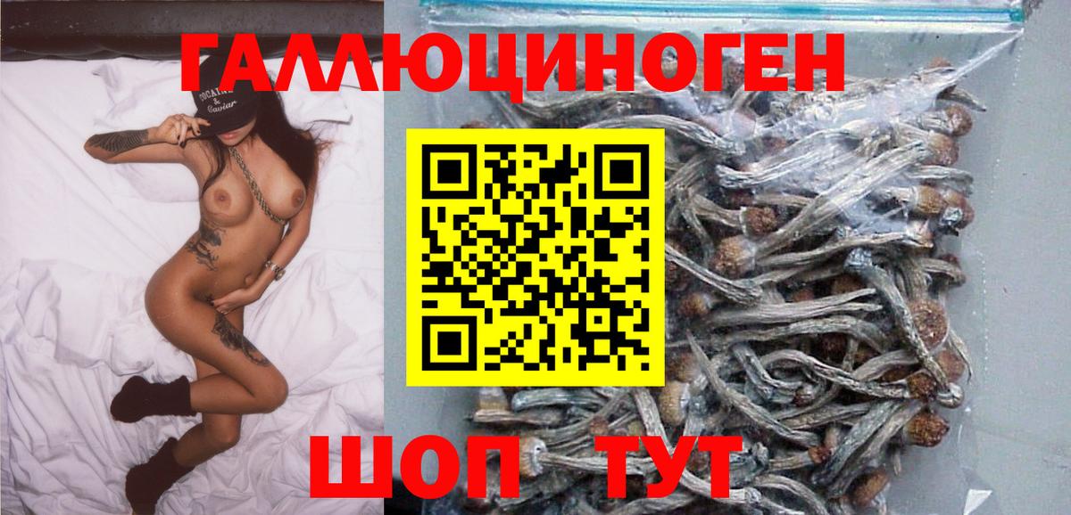 Галлюциногенные грибы прущие грибы Видное